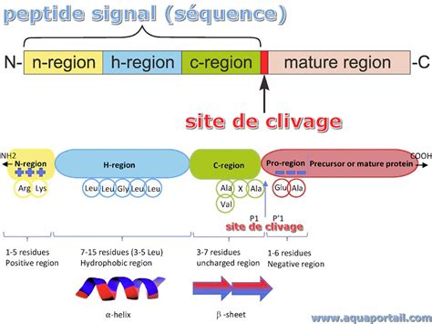 Glucagon Like Peptide 1 Weight Loss: High Purity GLP-1 Sourcing Guide for Labs
