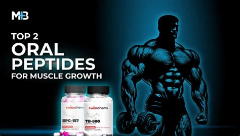 Best Injectable Peptide for Weight Loss: High-Purity Sourcing Guide for B2B Labs