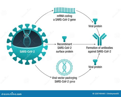 Wellness Peptides Sourcing Guide High Purity Specifications GMP Certified Manufacturing for Lab and Cosmetic Formulation