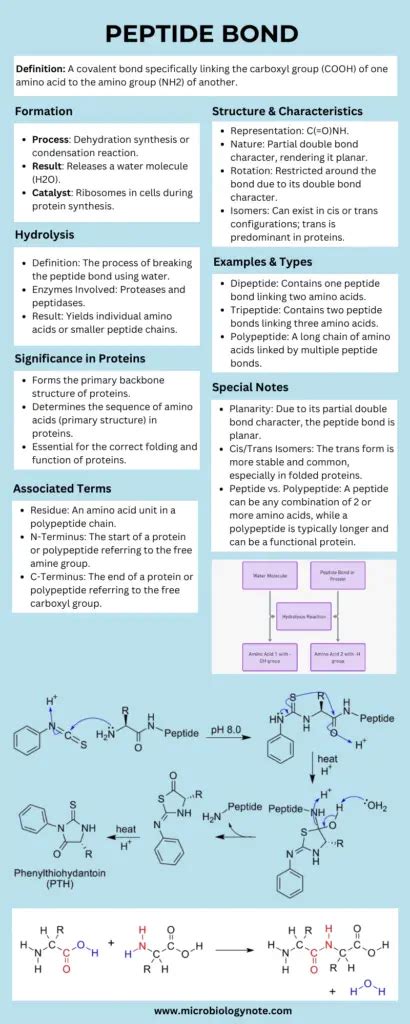Anti Cyclic Citrullinated Peptide High Purity Manufacturing Guide for Lab Sourcing and Certification