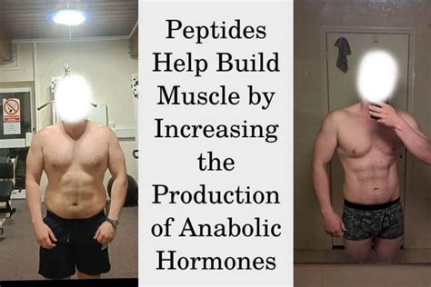 Peptides Side Effects in Manufacturing A Technical Guide on Purity Specification and Sourcing Standards