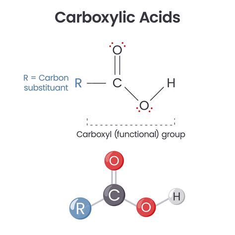Good Molecules Super Peptide Serum Reviews: Purity, Specifications & Manufacturing Analysis for Formulators