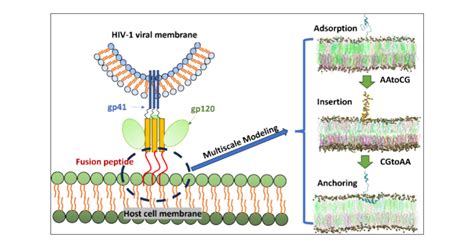 Order Peptides Online: 2026 Market Data Reveals 15% Growth in Research Peptide Demand