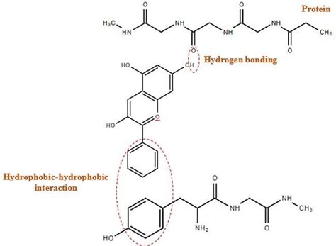Vital Protein Collagen Peptides Market Data 2006: Industry Growth, Research Insights & Product Comparison Guide