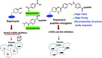 The Ultimate Technical Guide to Anti Inflammatory Peptides Purity Manufacturing and Sourcing Specifications