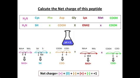 SS31 Peptide Benefits Purity Specifications and Manufacturing Standards for Cosmetic Formulation