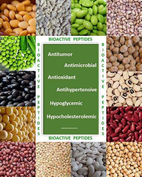 The Ultimate Guide to Weight Loss Peptide Purity, Manufacturing, and Sourcing for Labs
