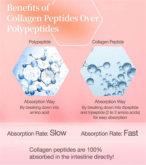 Battle Born Peptides Purity and Sourcing Guide for B2B Cosmetic Formulation Manufacturing