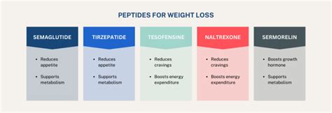 Anti Aging Peptides Market 2026: Research Data, Product Comparisons, and Industry Growth Forecasts