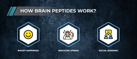 Muscle Building Peptides: Composition, Market Trends, Research Data & Selection Guide (18 words)