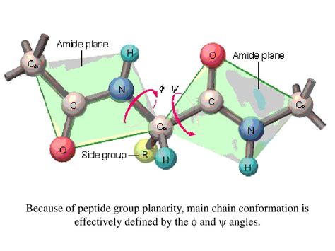 Orgain Collagen Peptides Reviews A Technical Deep Dive on Purity Specifications and Manufacturing Sourcing