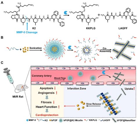 The Technical Guide to High-Purity Healing Peptides for Cosmetic Formulation Manufacturing